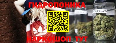 каннабис Кингисепп