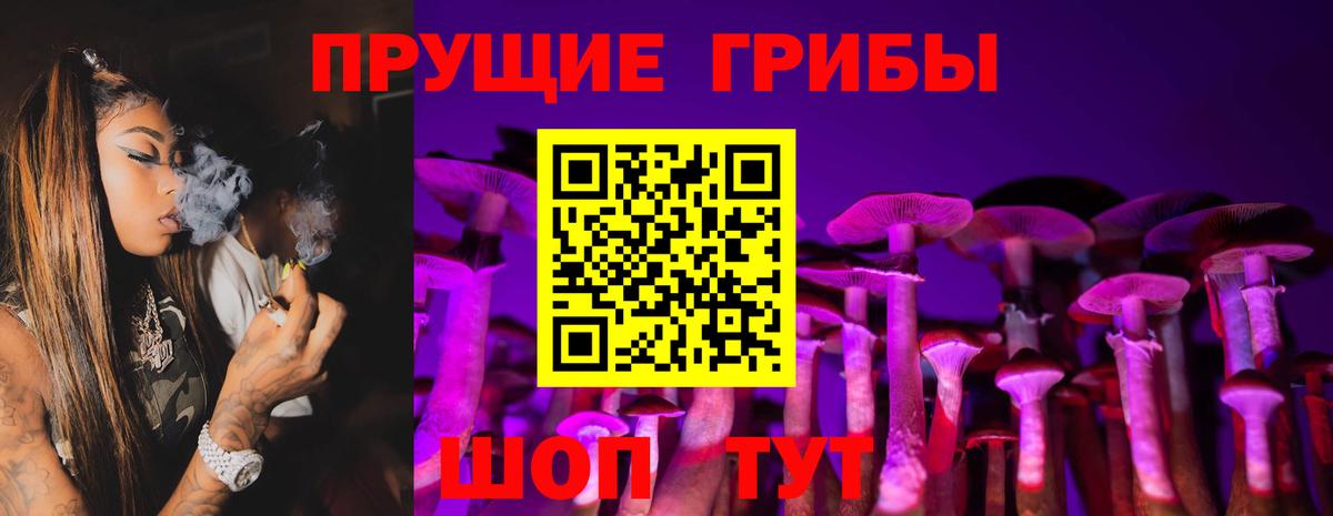 Псилоцибиновые грибы Cubensis  Псилоцибиновые грибы Psilocybine cubensis  Конаково  Вход с VPN 